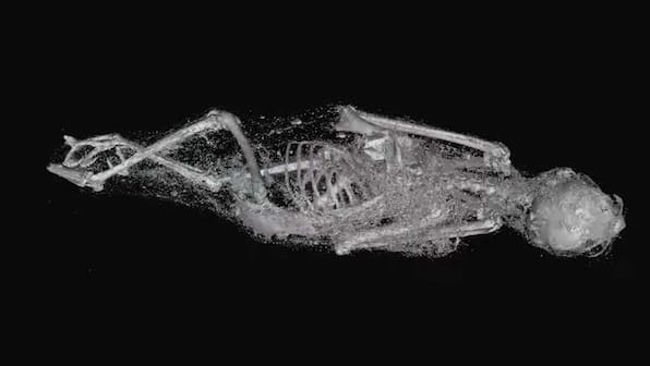 3D scans unearth details about life, deaths of 2,000-year-old Egyptian animal mummies
