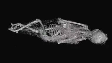 3D scans unearth details about life, deaths of 2,000-year-old Egyptian animal mummies