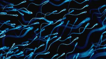 COVID-19 could damage quality of sperm, reduce fertility in men, study suggests