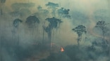 Brazil’s experts raise alarm as Amazon witnesses 28% more fires in July than a year ago