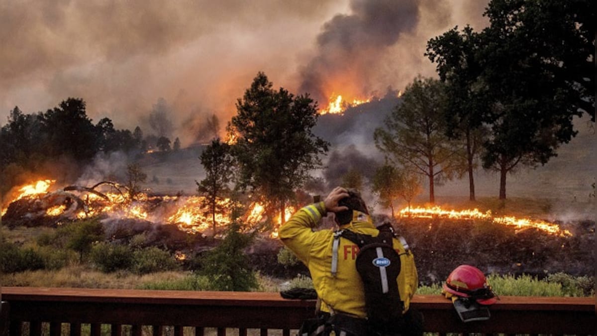 California wildfire was triggered by explosives at gender reveal party, claims fire department