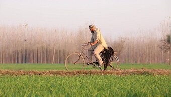 Indian cinema and the Dalit identity: Chamm spurs viewers to think rationally about emotional complexities of exploitation
