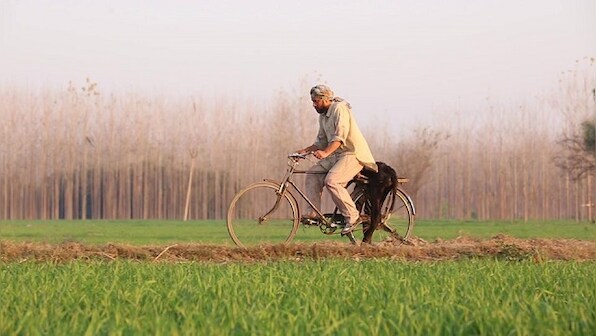 Indian cinema and the Dalit identity: Chamm spurs viewers to think rationally about emotional complexities of exploitation