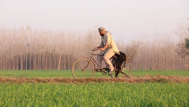 Indian cinema and the Dalit identity: Chamm spurs viewers to think rationally about emotional complexities of exploitation Indian cinema and the Dalit identity: Chamm spurs viewers to think rationally about emotional complexities of exploitation