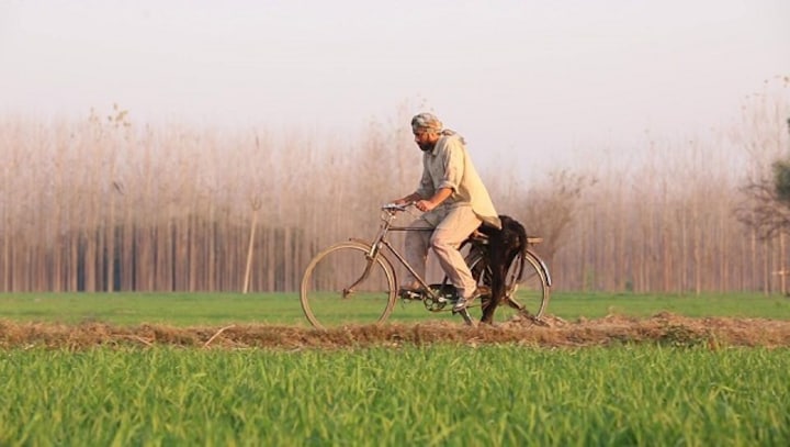 Indian cinema and the Dalit identity: Chamm spurs viewers to think rationally about emotional complexities of exploitation