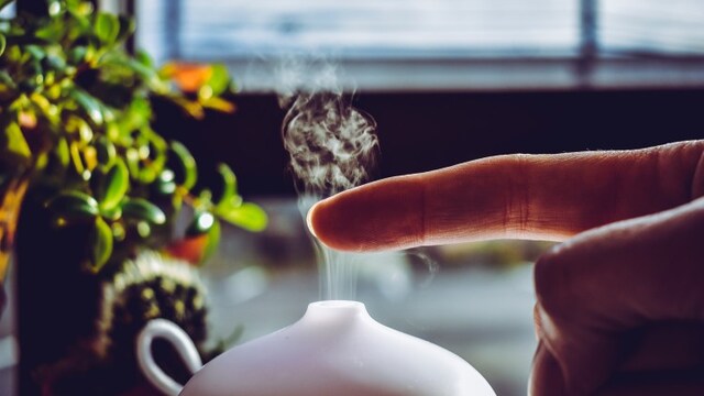 Top diffusers to keep your home fresh Top diffusers to keep your home fresh