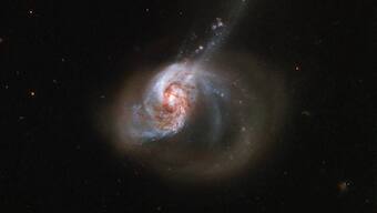 NASA shared an image of eccentrically shaped NGC 1614 galaxy, leaves netizens amazed