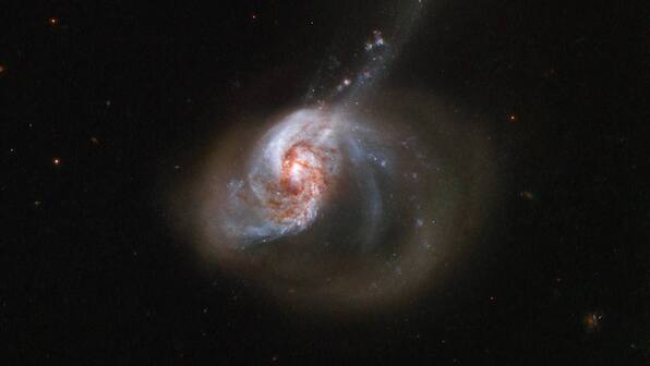NASA shared an image of eccentrically shaped NGC 1614 galaxy, leaves netizens amazed