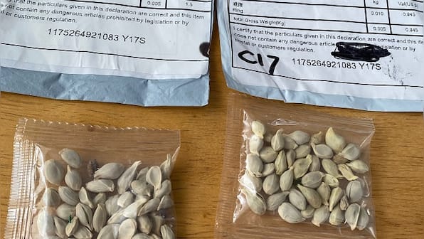 Dubious seed packets reach citizens in India, US, Japan; authorities suspect 'brushing scam', 'agro-terrorism'