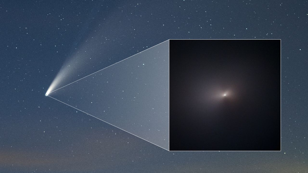 Hubble telescope captures close-up shot of ‘celebrity’ comet NEOWISE as it passes by the Sun Hubble telescope captures close-up shot of ‘celebrity’ comet NEOWISE as it passes by the Sun
