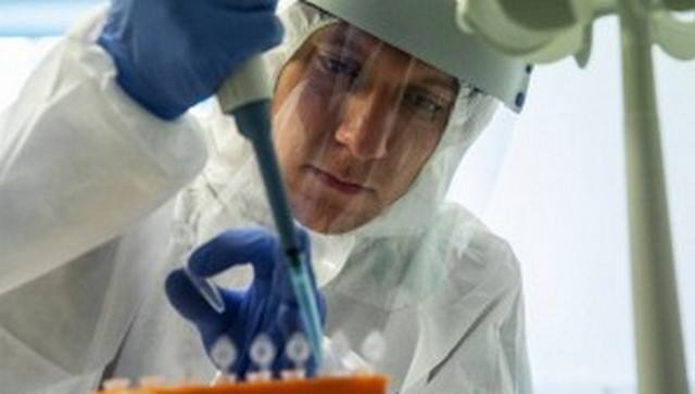 Elevated levels of plasmin in body may be reason behind severe COVID-19 in patients with comorbidities Elevated levels of plasmin in body may be reason behind severe COVID-19 in patients with comorbidities