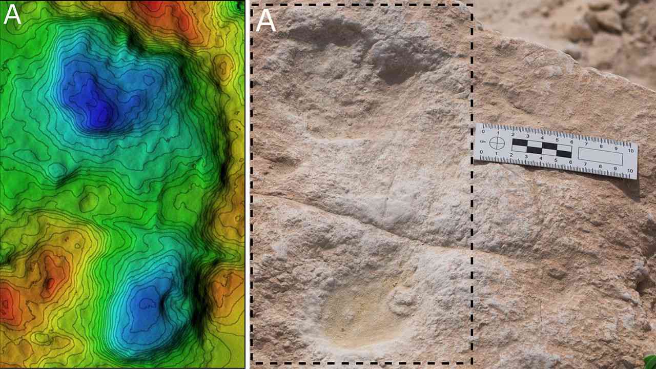 These footprints were made by ancient humans’ muddy feet as they traversed a lakeshore in Saudi Arabia about 120,000 years ago. Image credit: Mathew Stewart 
