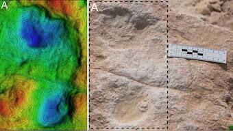 Human, animal footprints dating back 1,20,000 years found in Saudi Arabia's Nefud Desert