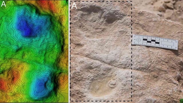 Human, animal footprints dating back 1,20,000 years found in Saudi Arabia's Nefud Desert