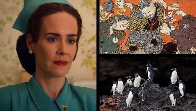 From Netflix's Ratched to Atlas Obscura's talks on supernatural cats and penguin species, a list of virtual engagements for this week.