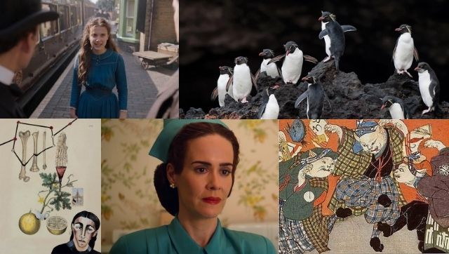 The Friday List: From Netflix's Ratched to folklore around supernatural cats, your weekly calendar of virtual events The Friday List: From Netflix's Ratched to folklore around supernatural cats, your weekly calendar of virtual events