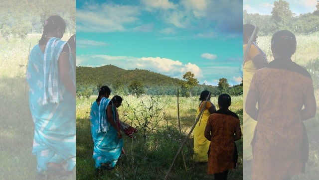 Koya Farmers in the Bhadradri-Kothagudem district, indicating how only a few saplings from the plantation drive have managed to survive.
