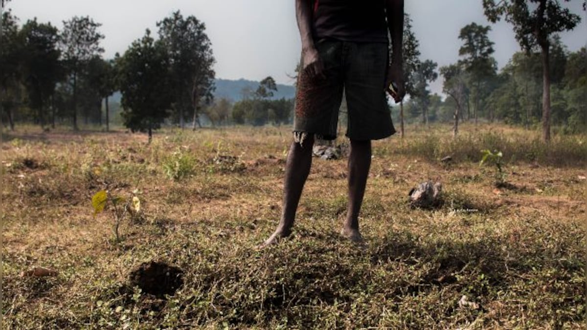 Haritha Haram and forest rights: How a scheme to increase green cover has upended the lives of Telangana's tribals