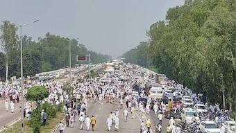 Farmers protest: Why are agrarians in Haryana, Punjab and UP opposed to three farm sector ordinances