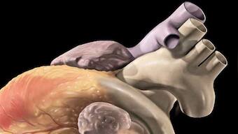 New study suggests high blood pressure, diabetes affect thinking, memory more in mid-age than after 70