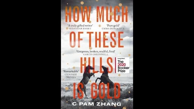 C Pam Zhang's How Much of These Hills Is Gold captures the plight of Chinese-American immigrants during the Gold Rush of California.