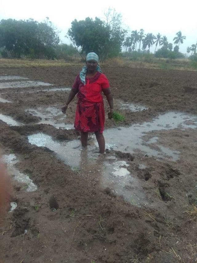 M Chithirai Kani, left beedi rolling a year ago, and although she is facing hard times on the economic front, she does not intend to go back to her old job. Neerad Pandaripandhe