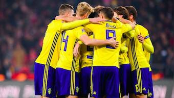 Swedish men's football team to play remaining matches of 2020 without pay to support women's team's demand for equal pay