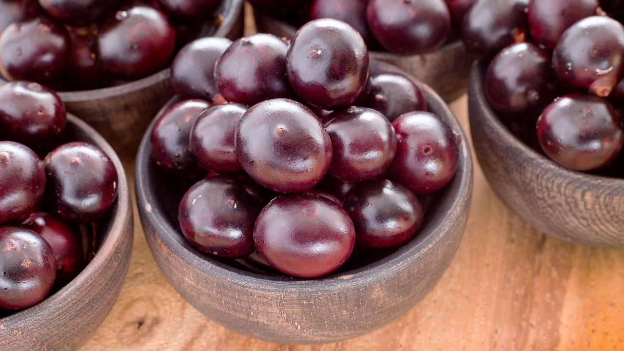 Researchers in Canada investigate whether superfood acai berry can help fight COVID-19 Researchers in Canada investigate whether superfood acai berry can help fight COVID-19