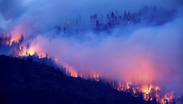 Bandhavgarh Tiger Reserve wildfire brought under control after two days; no loss of animals or birds reported, says official Bandhavgarh Tiger Reserve wildfire brought under control after two days; no loss of animals or birds reported, says official
