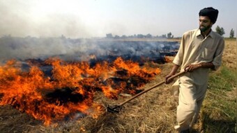 India leads in crop burning emissions globally with 13% share, shows Blue Sky Analytics report