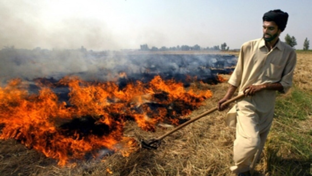 Crores allocated but Delhi smog from stubble burning in Punjab, Haryana likely to persist this winter too Crores allocated but Delhi smog from stubble burning in Punjab, Haryana likely to persist this winter too