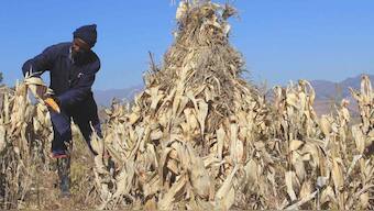 First famines induced by the Coronavirus pandemic are already at the world’s doorstep, UN warns