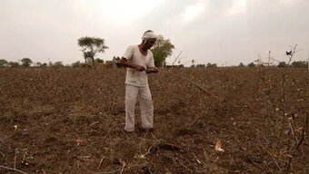 Centre announces higher MSPs for six crops: A look at how minimum support prices are calculated, and what makes them important