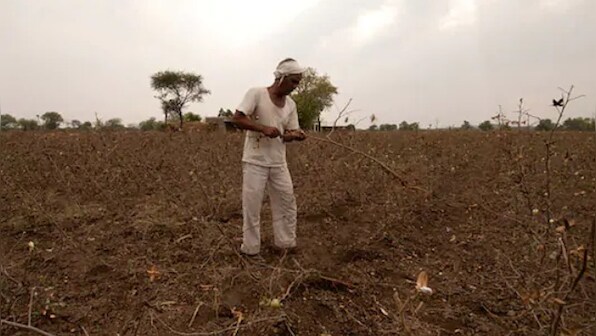 Centre announces higher MSPs for six crops: A look at how minimum support prices are calculated, and what makes them important
