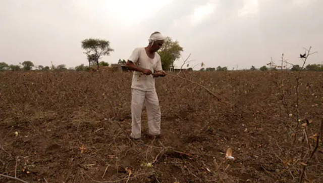 Centre announces higher MSPs for six crops: A look at how minimum support prices are calculated, and what makes them important Centre announces higher MSPs for six crops: A look at how minimum support prices are calculated, and what makes them important