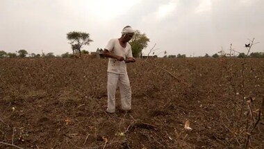 Centre announces higher MSPs for six crops: A look at how minimum support prices are calculated, and what makes them important