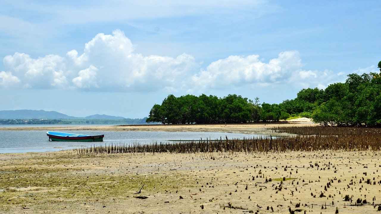 Scientists develop new way to determine how fast the Indian Ocean is warming by analysing earthquake sounds Scientists develop new way to determine how fast the Indian Ocean is warming by analysing earthquake sounds