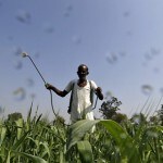 MSP model's utility is long gone; new farm laws will give farmers more market access, promote agri exports