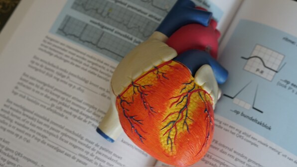 World Heart Day 2020: Public-private partnerships are key in improving health care access in rural India