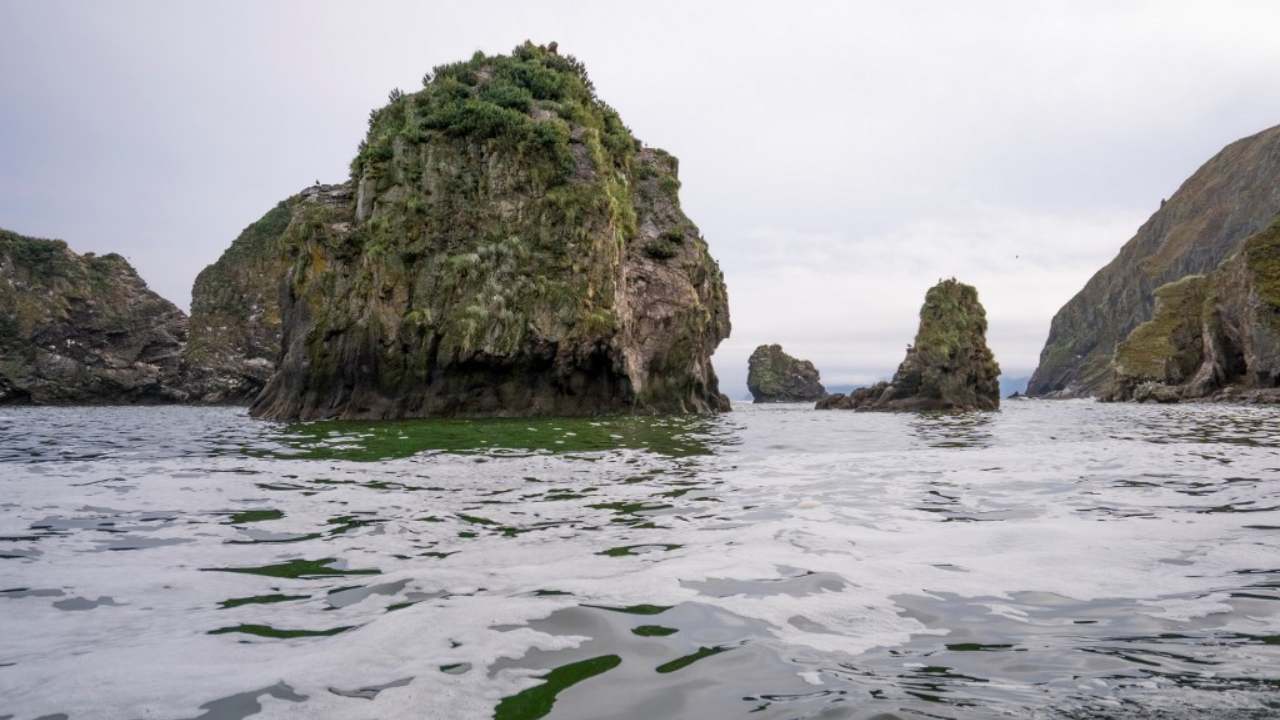Rocket fuel leak could've caused water pollution, killed marine life in Russia's Kamchatka region Rocket fuel leak could've caused water pollution, killed marine life in Russia's Kamchatka region