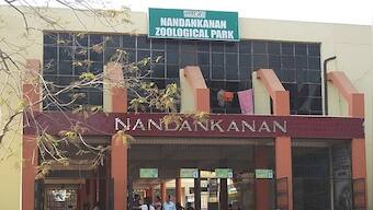 Amid COVID-19 pandemic, Nandankanan Zoological Park launches virtual tour facility at nandankanan.org