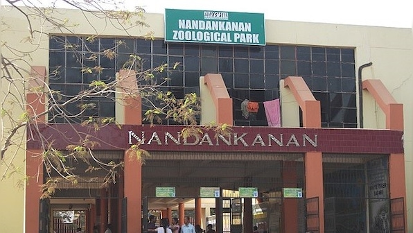 Amid COVID-19 pandemic, Nandankanan Zoological Park launches virtual tour facility at nandankanan.org