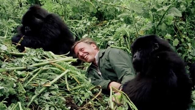 A young David Attenborough | Netflix