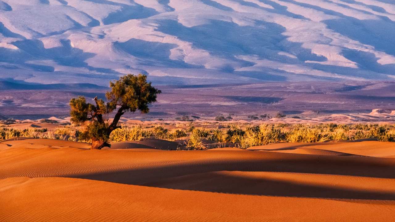 Sahel And Sahara Region