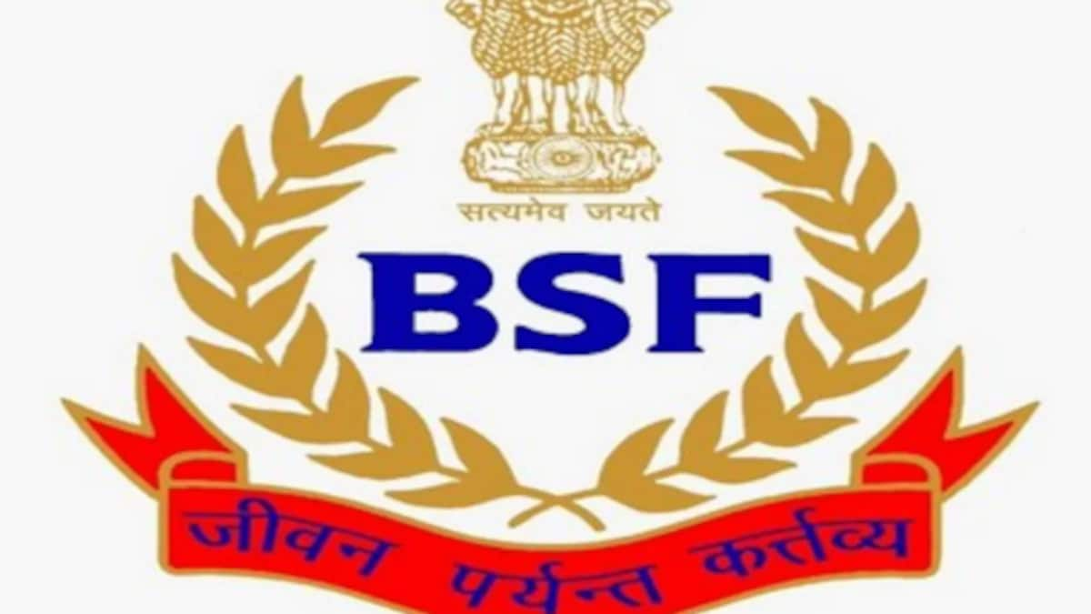 Chinese man apprehended at India-Bangladesh border smuggled 1,300 Indian SIM cards to his country, says BSF