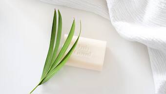 Feel refreshed with these top citrus bathing soaps