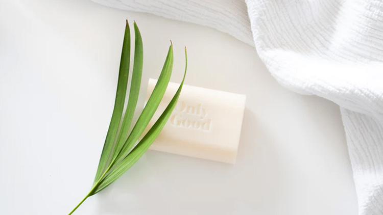 Feel refreshed with these top citrus bathing soaps Feel refreshed with these top citrus bathing soaps