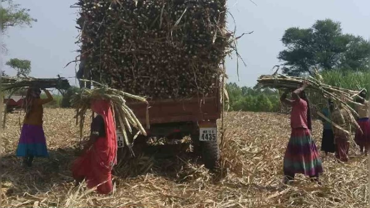 Oppressed for generations, women cane cutters in Maharashtra continue to work in inhuman conditions, shows study