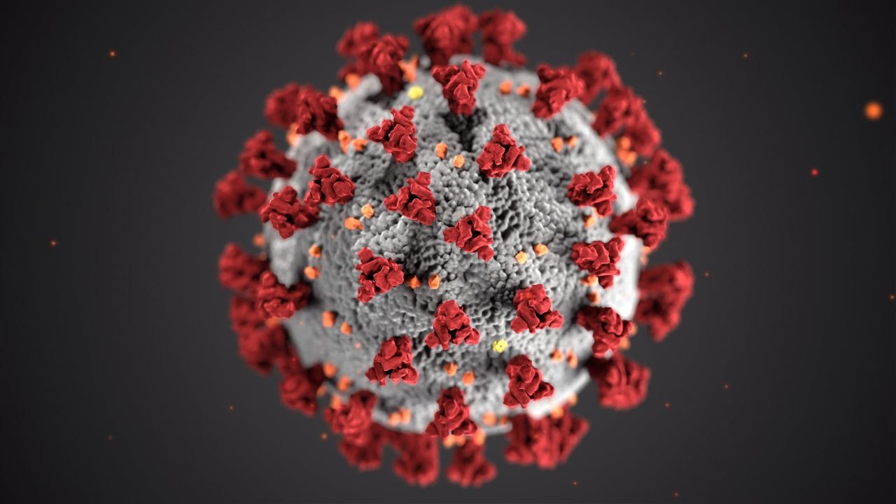 CDC illustration of the coronavirus. Image: CDC/Unsplash