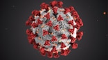 Too good to be true? Pfizer is working on a pill that could potentially treat COVID-19